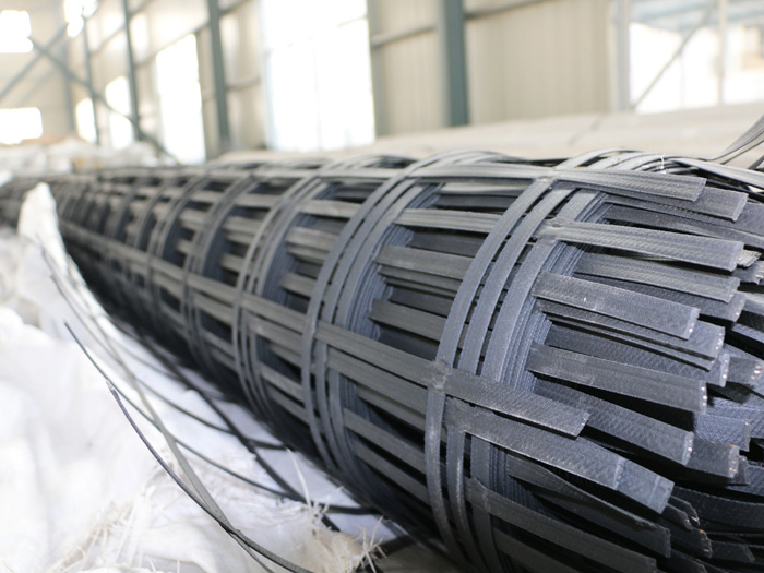 Steel plastic geogrid