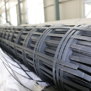 Steel plastic geogrid